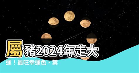 屬豬 幸運色|【豬幸運色】屬豬者2024「大吉幸運色」大公開！增強運勢、趨。